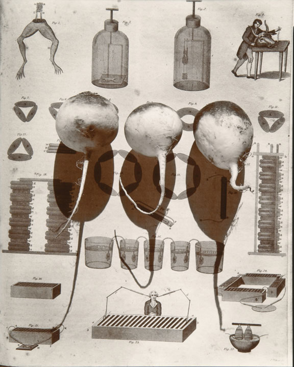 Olivia Parker - Galvanization (from "Lost Objects portfolio) Olivia Parker - Galvanization (from "Lost Objects portfolio)