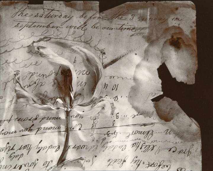 Olivia Parker - Saturday (from "Lost Objects portfolio) Olivia Parker - Saturday (from "Lost Objects portfolio)