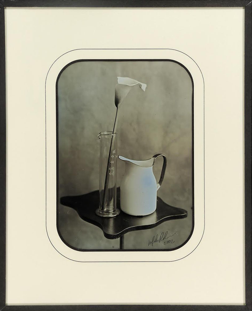 Mike Robinson - Lily & Pitcher 1 Mike Robinson - Lily & Pitcher 1
