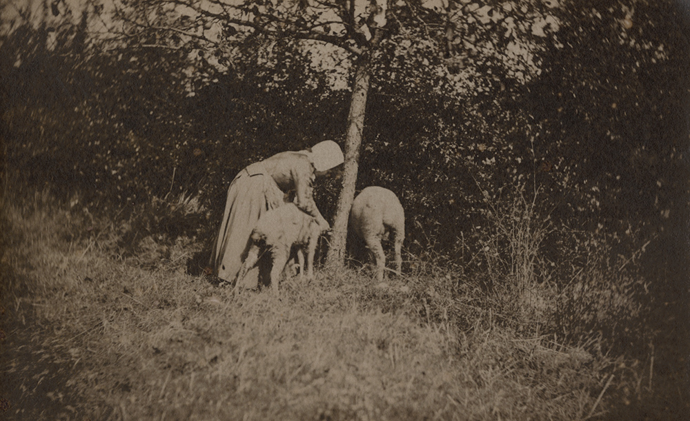Auguste Giraudon's Artist - Woman with Sheep Auguste Giraudon's Artist - Woman with Sheep