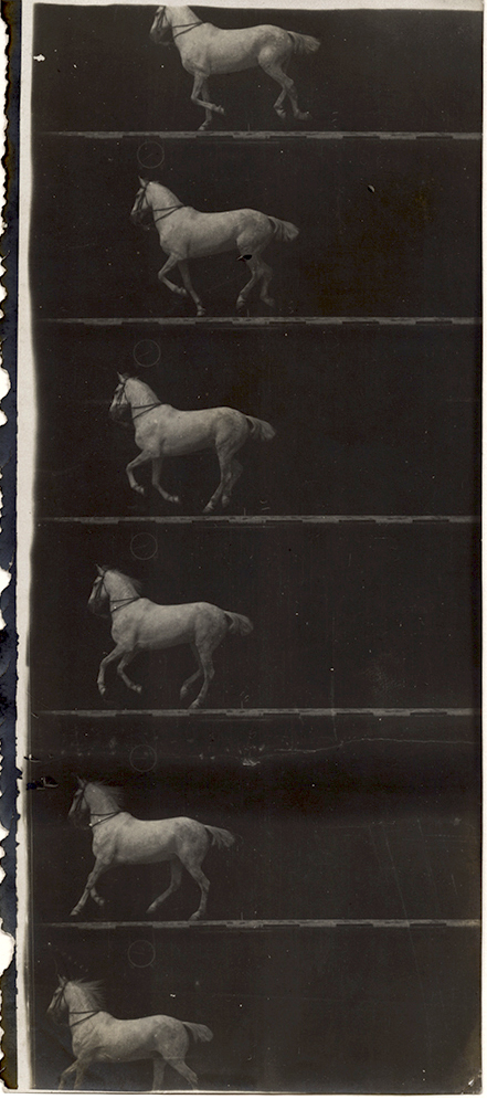Click to view the Exhibit