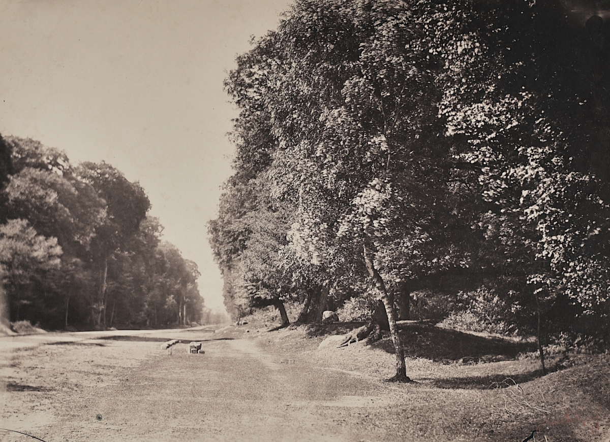 Gustave Le Gray - Fontainebleau Forest: the Pavé de Chailly