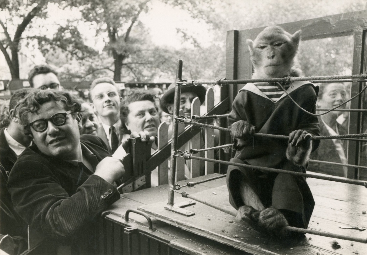 Robert Doisneau - Les Animaux Supérieurs