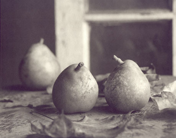 Ray Bidegain - Pears with Leaves Ray Bidegain - Pears with Leaves