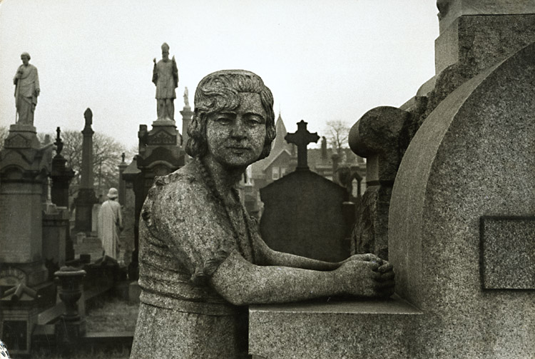 Susan McCartney - Calvary Cemetary, Queens, New York Susan McCartney - Calvary Cemetary, Queens, New York