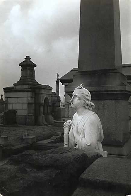 Susan McCartney - Calvary Cemetary, Queens, New York Susan McCartney - Calvary Cemetary, Queens, New York